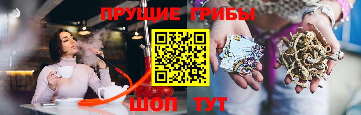 Галлюциногенные грибы GOLDEN TEACHER  Псилоцибиновые грибы Magic Shrooms  Вход с VPN  сколько стоит  Королёв 